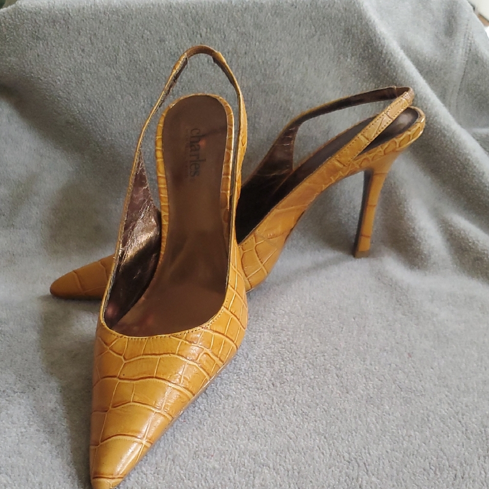 Charles David, Slingback Heels